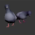 Two Blue Purple Pigeons With Pink Feet 3D Model On Dark Background With Reflection