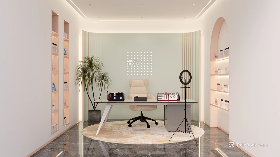 Modern Public Office Space Design With Desk Office Chair Bookshelves And Potted Plant 3d model 