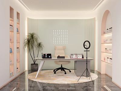 Modern Public Office Space Design With Desk Office Chair Bookshelves And Potted Plant 3d model
