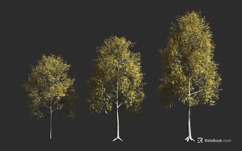Three Different Sizes Trees With Green And Yellow Leaves And White Trunks On Dark Background 3d model 