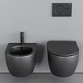 Modern Wall Mounted Black Toilet With Bidet And Black Faucet On Light Wall