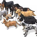 Collection of 14 Different Dog Breeds Including Doberman Labrador and Bulldog