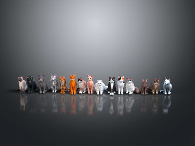 Various Colored Cat Breeds Standing Side By Side On Gray Background With Floor Reflections 3d model