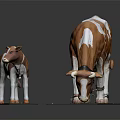 Brown And White Adult Cow With Calf Standing On Green Base Against Gray Background