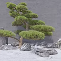 Zen Garden Ornament With Pine Tree Stone Lantern Rocks And Sand Patterns 3d model