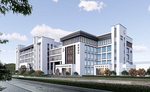 New Chinese Hospital Building Hospital 3d model