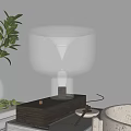 Modern Transparent Glass Table Lamp With Black Base And Green Plant Decor