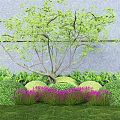 Lush Green Leaf Tree With Trimmed Shrubs Purple Flowers And Green Grass By Gray Wall