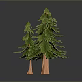 Realistic Two Green Pine Trees With Brown Trunks On Dark Background