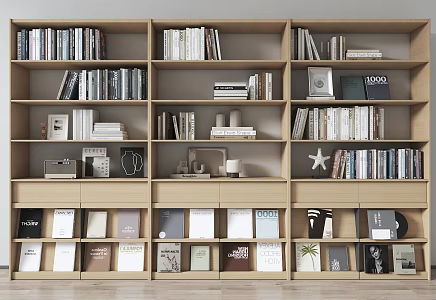 Modern bookcase 3d model