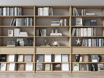 Modern bookcase 3d model