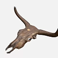 Animal Skull With Large Curved Horns Natural Brown Decorative