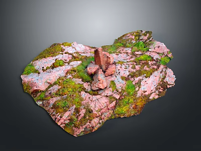 Natural Wood Stone Decorative Surface With Green Moss And Red Rock Texture 3d model