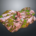 Natural Wood Stone Decorative Surface With Green Moss And Red Rock Texture