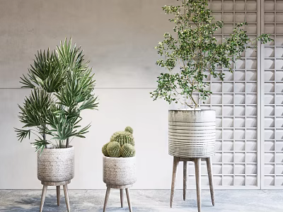 Different Potted Plants With Woven Texture Pots Slender Leg Stands And Light Wall Lattice Background 3d model