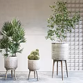 Different Potted Plants With Woven Texture Pots Slender Leg Stands And Light Wall Lattice Background