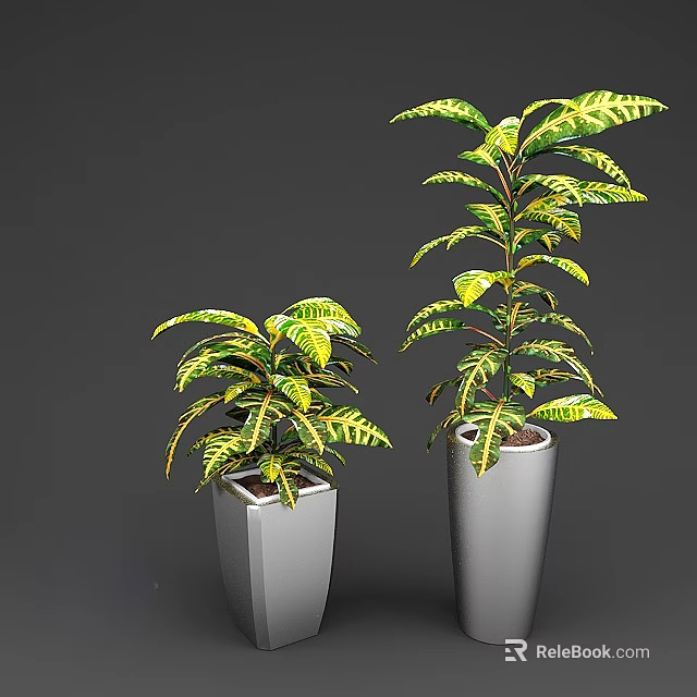 Variegated Leaf Potted Plants in White Different Shaped Pots for Indoor Decor 3d model