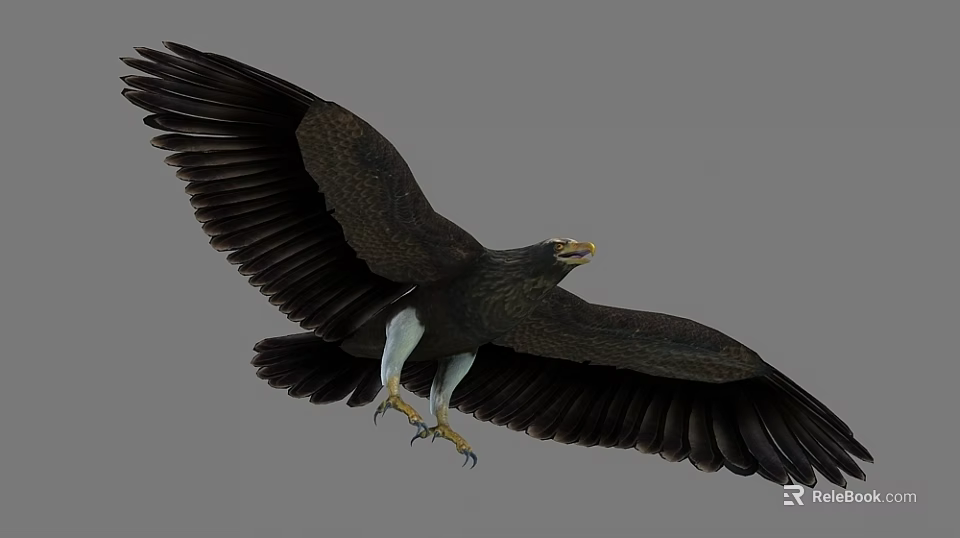 Majestic Eagle Flying With Outstretched Wings Sharp Claws And Dark Feathers On Gray Background 3d model