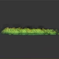 Lush Green Grass Cluster With Vibrant Foliage And Natural Texture