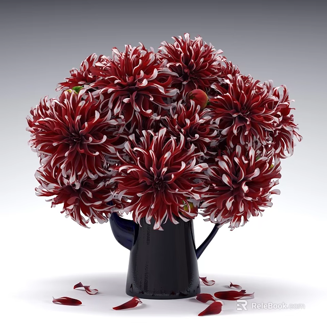 Blooming Red and White Dahlias Arranged in Black Vase with Scattered Petals 3d model 