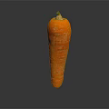 Fresh Orange Carrot with Natural Texture Isolated on Dark Background 3d model