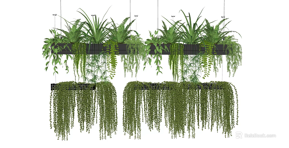 Stylish Hanging Basket Plants With Green Trailing Vines For Indoor Decoration 3d model 