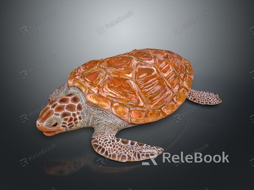 Turtle Turtle Cartoon Turtle Snapping Turtle Chickbill Turtle Reptile Cold Blooded Animal Reptile Reptile Class model