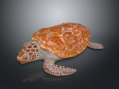 Marine Reptile Turtle With Orange Patterned Shell And Detailed Limbs On Dark Reflective Surface 3d model