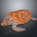 Turtle Cartoon Turtle Snapping Turtle Chickbill Turtle Reptile Cold Blooded Animal Reptile Class 3d model
