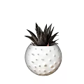 White Ceramic Pot With Green Spots Round Shape For Aloe Vera Plant