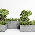 Modern Concrete Flower Planters With Green Bushes And Shrubs For Outdoor Garden