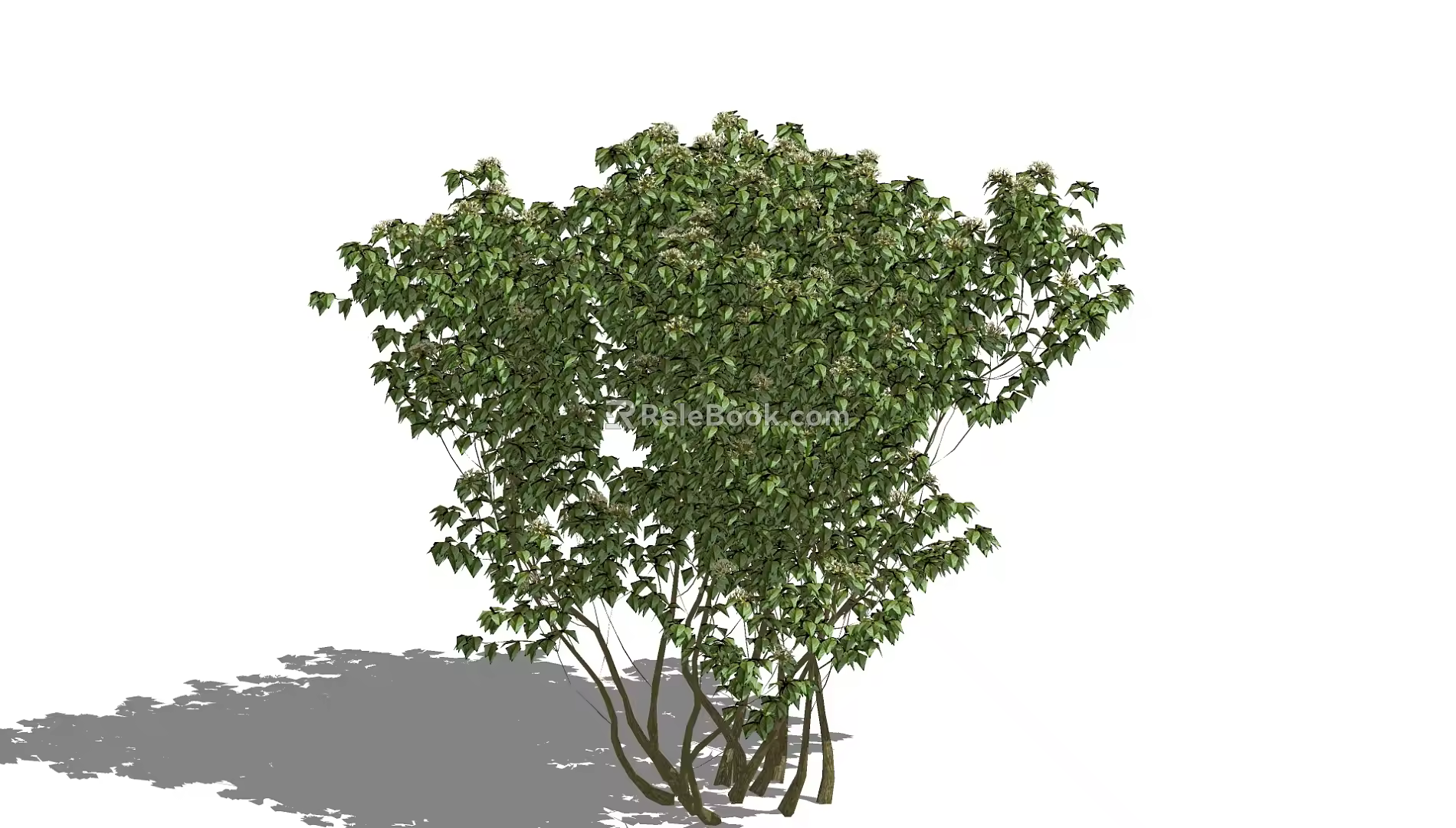 Tree 3d model