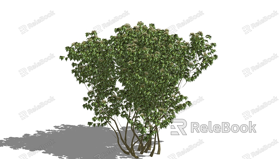 Tree model