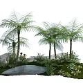 Lush Green Ferns In Natural Landscape With Stones Green Grass And Small Plants