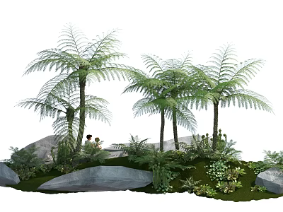 Lush Green Ferns In Natural Landscape With Stones Green Grass And Small Plants 3d model