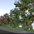 Garden Landscape With Varied Trees Red Fruits Purple Flowers Roadside Water Area And Blue Sky