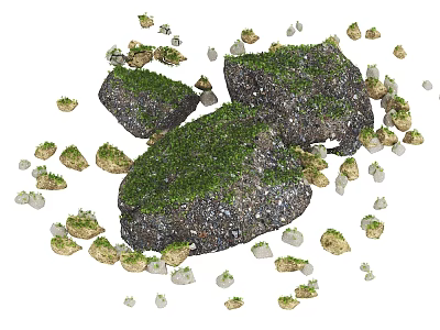 Natural Stone And Wood Elements In Rustic Landscape Decor With Mossy Surfaces 3d model