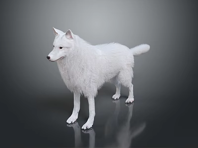 White Fluffy Dog Game Movie Character Standing On Dark Background With Reflection 3d model