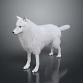 White Fluffy Dog Game Movie Character Standing On Dark Background With Reflection 3d model