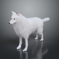 Wolf Cartoon Wolf Animation Wolf Animation Wolf Wolf Big Bad Wolf Wolf Warrior Cartoon Character Cartoon Animal 3d model