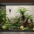 Indoor Greenery Display With Ferns Palm Plants Stone And Lighted Spheres In Glass Case