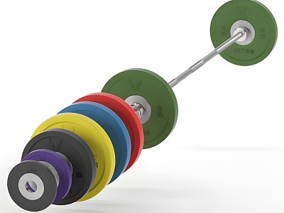 Sports Equipment Barbell Dumbbell Fitness Equipment Weightlifting 3d model