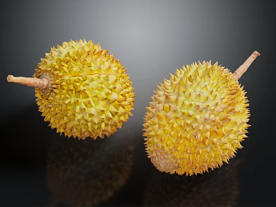 Two Fresh Durian Fruits With Spiky Yellow Exterior On Dark Reflective Surface 3d model