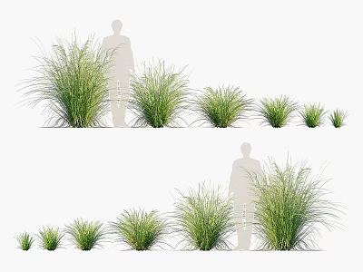 Green Herbs in Various Sizes with Silhouette Figures for Scale Comparison 3d model