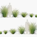 Green Herbs in Various Sizes with Silhouette Figures for Scale Comparison 3d model