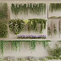Decorative Vines Wall Decoration With Hanging Greenery Various Colorful Flowers and Lush Foliage
