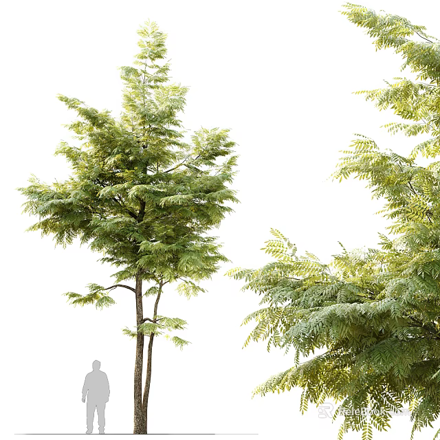 Arbor Tree With Lush Green Leaves And Sturdy Trunk In Natural Outdoor Setting 3d model 
