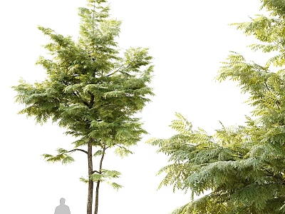 Arbor Tree With Lush Green Leaves And Sturdy Trunk In Natural Outdoor Setting 3d model