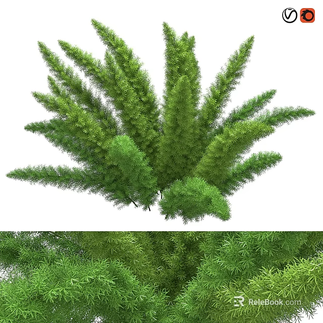 Lush Green Aquatic Plants With Long Feathery Leaves And Dense Growth 3d model 
