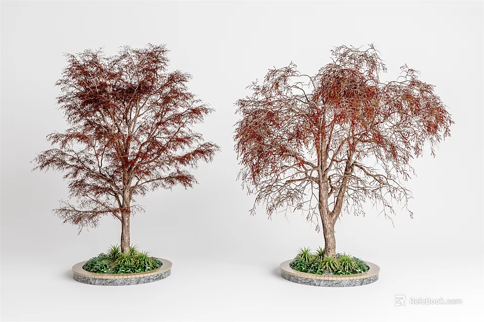 Two Arbor Trees With Red Leaves And Brown Trunks On Circular Bases With Green Grass 3d model 